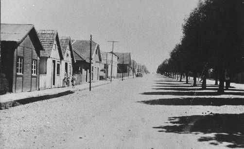 Av. Julio de Castilhos, � esquerda hoje, Loja Bertuol, sem data da foto - Cedida por Tomaz A. Lucena Jr