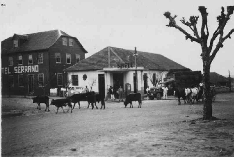 Foto da esquina onde hoje temos a pecu�ria, em 1954